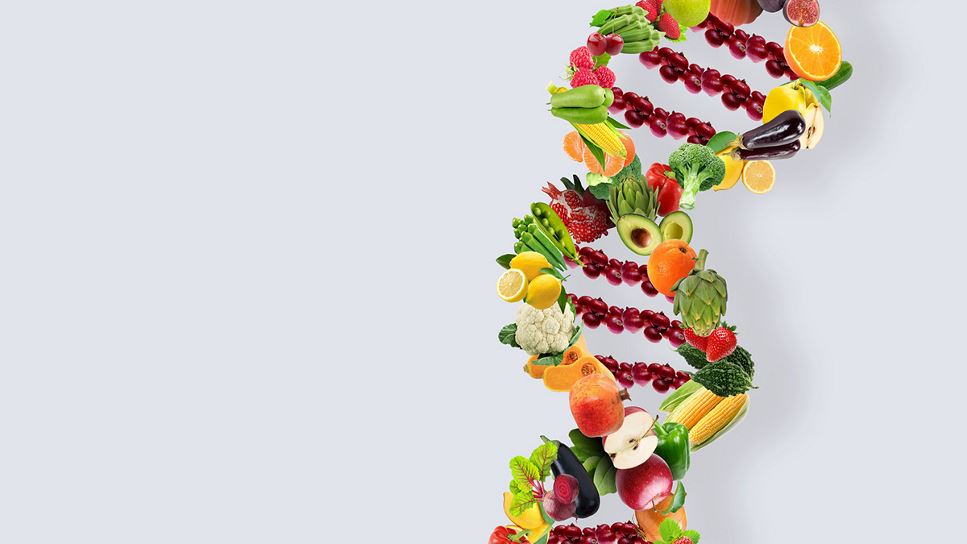 Serving the Future: A Vision for Nutrition Research